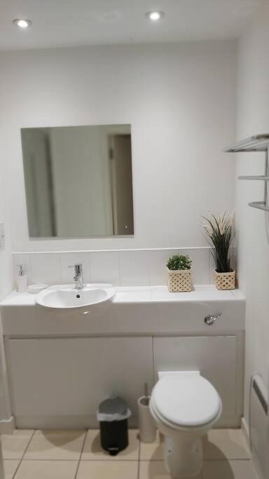 Piquancy Apartments - Sheffield City Centre Extérieur photo